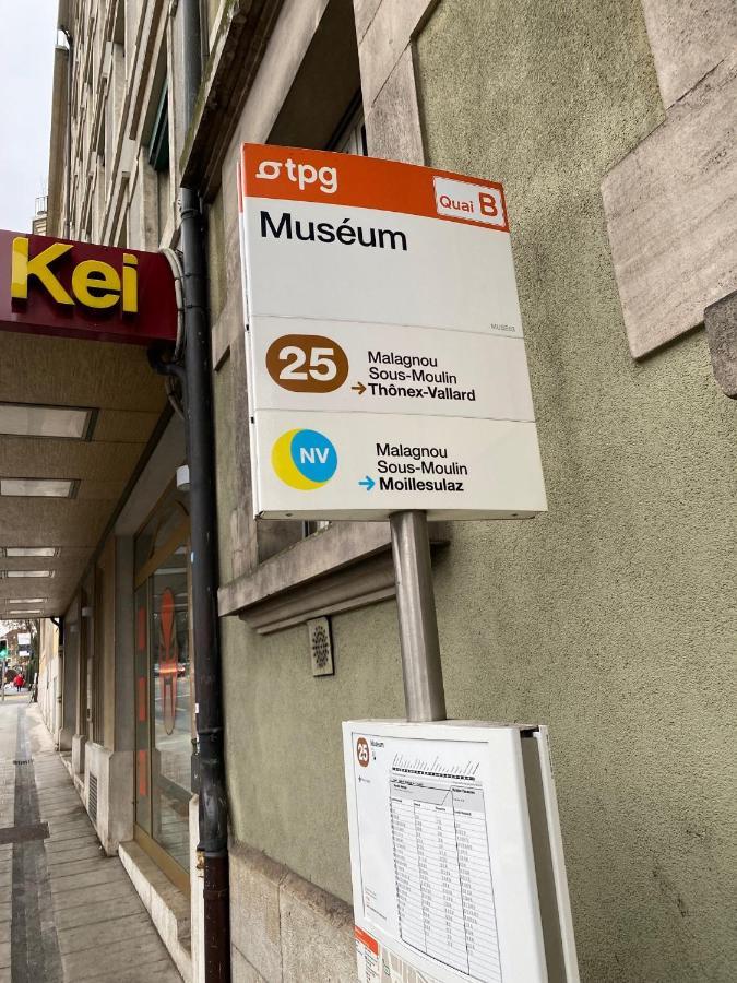 Geneve, Plein Centre,Belle Vue Lac, Splendide Et Grand Appartement Kültér fotó