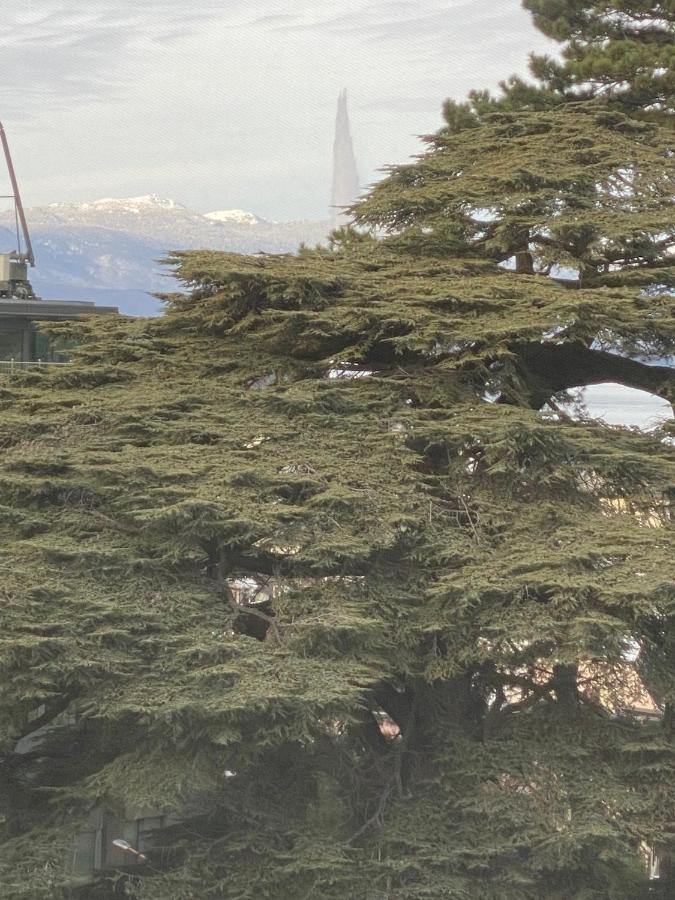 Geneve, Plein Centre,Belle Vue Lac, Splendide Et Grand Appartement Kültér fotó